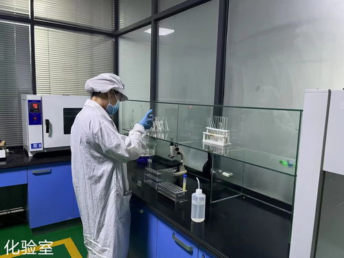 新泰市構(gòu)建全產(chǎn)業(yè)鏈體系 軟件技術(shù)賦能預(yù)制菜產(chǎn)業(yè)高質(zhì)量發(fā)展